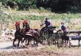 Maraton Harness.jpg